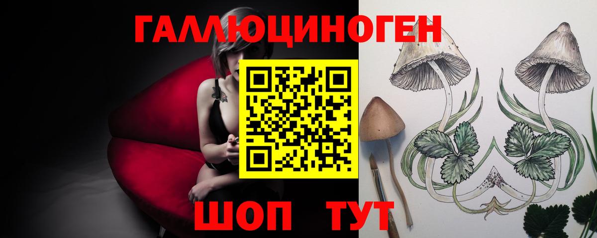 Галлюциногенные грибы ЛСД Каменка