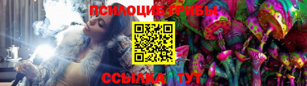 Псилоцибиновые грибы GOLDEN TEACHER  что такое наркотик  Каменка  Вход с VPN 