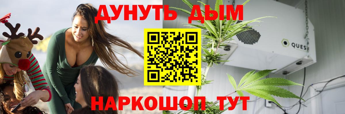 Каменка  Марихуана семена  Вход с VPN  Конопля VHQ 